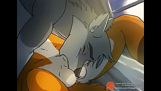 A Gay Foxy Blowjob - wits OrangeOkami (Furry Porn)