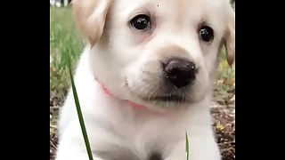 Trai tắm thủ dâm